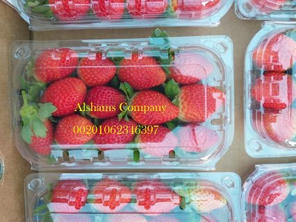 fresh strawberry 1