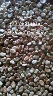 dried beans 1