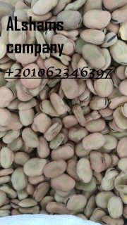 dried beans 2