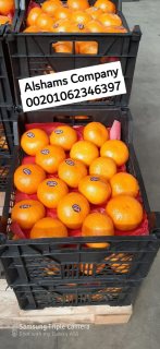 Fresh orange  4