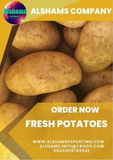 fresh potatoes 